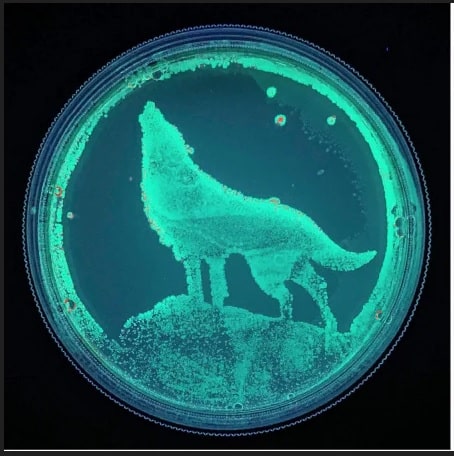 معرفی کامل 147 سبک نقاشی در جهان